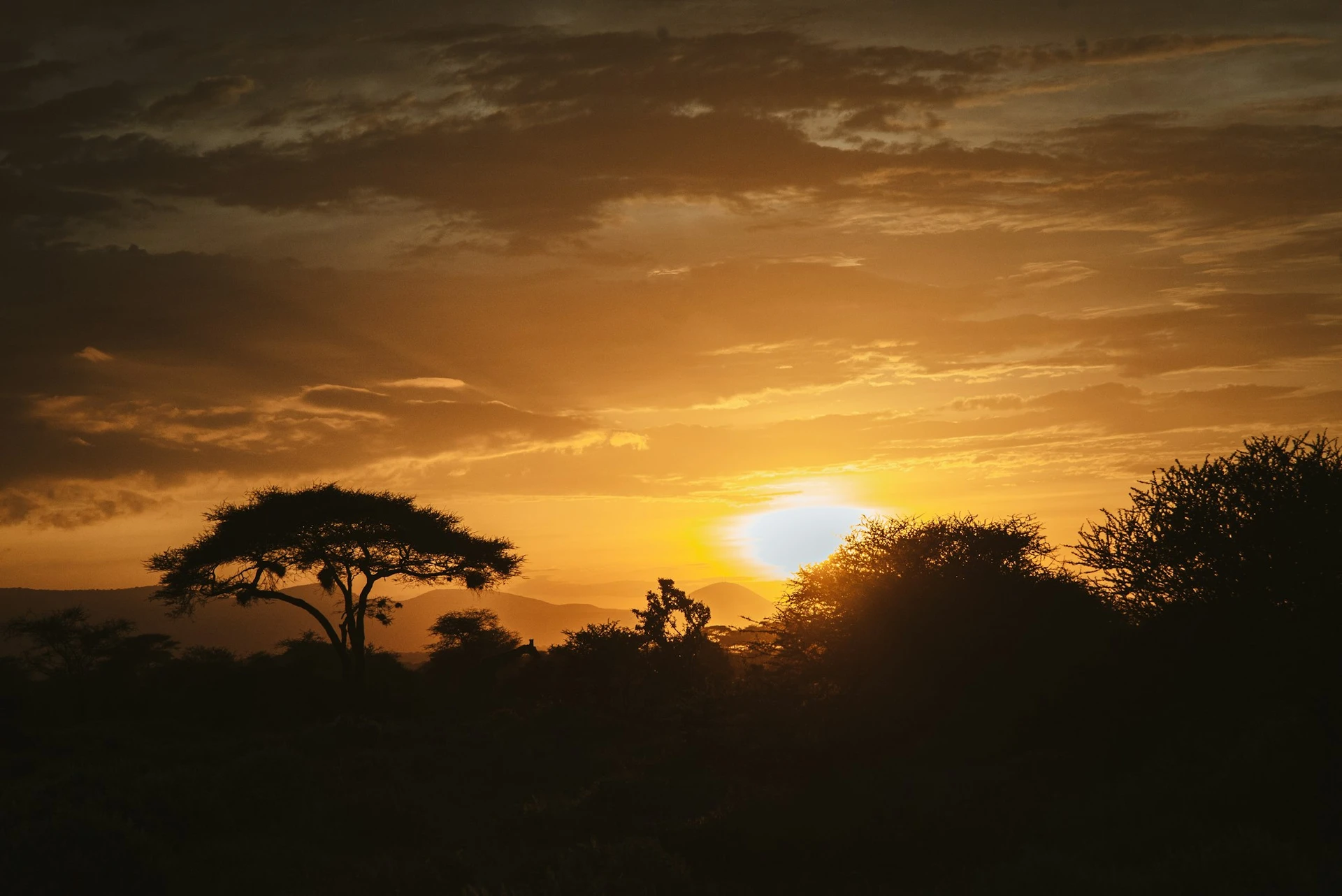 Breathtaking Savanna Views